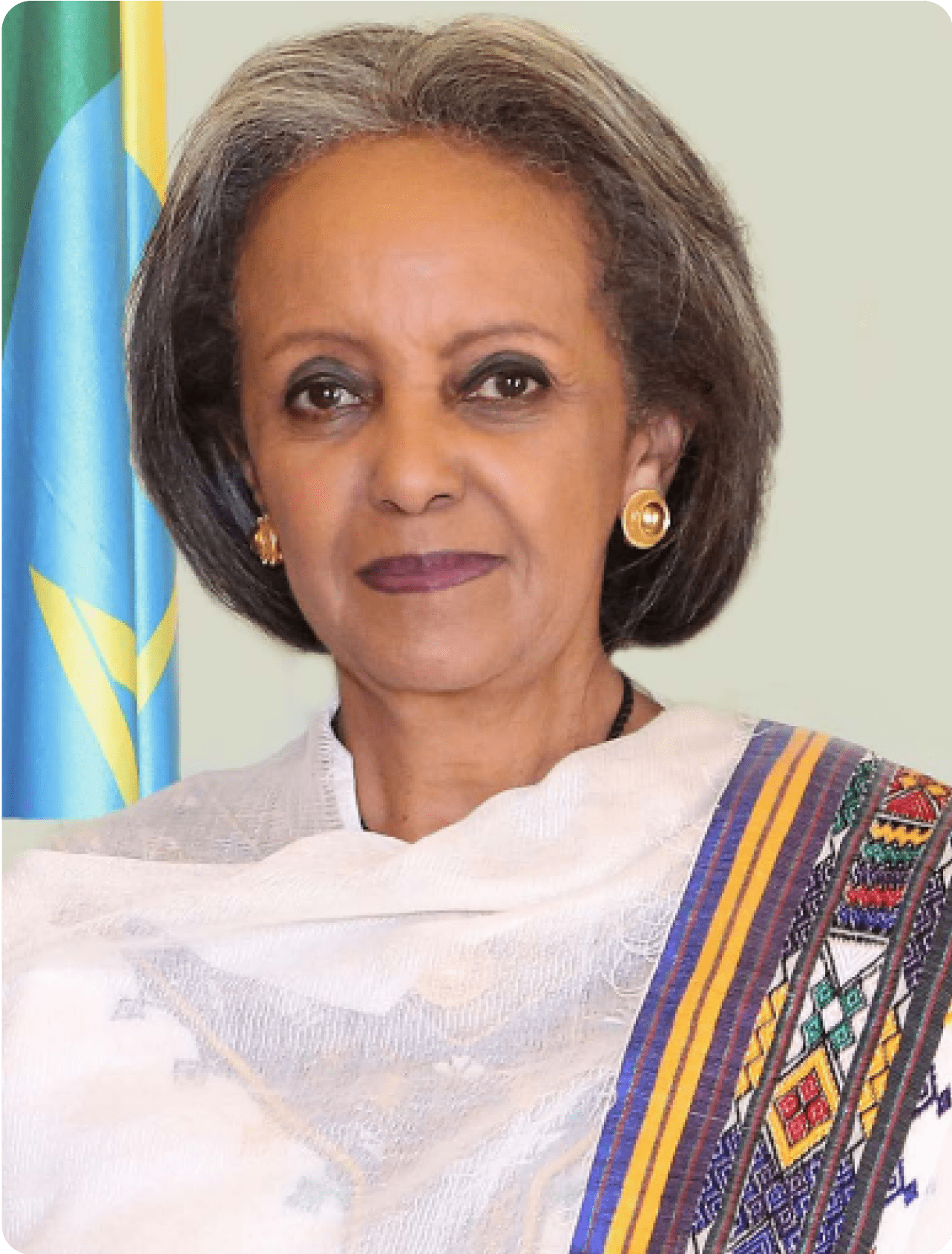 H.E. Sahle-Work Zewde